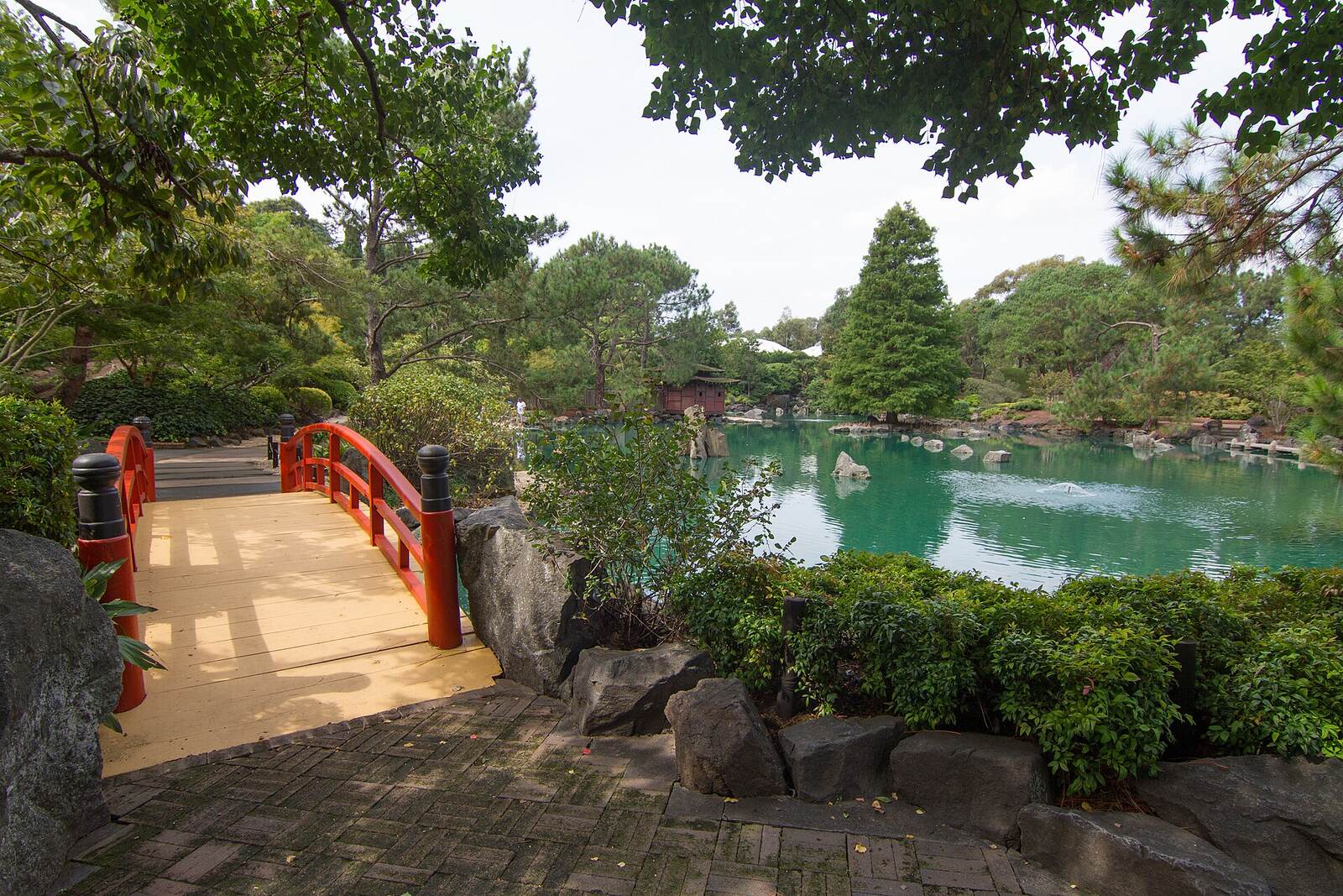 Red timber footbridge beside the green lake at Auburn Botanic Gardens