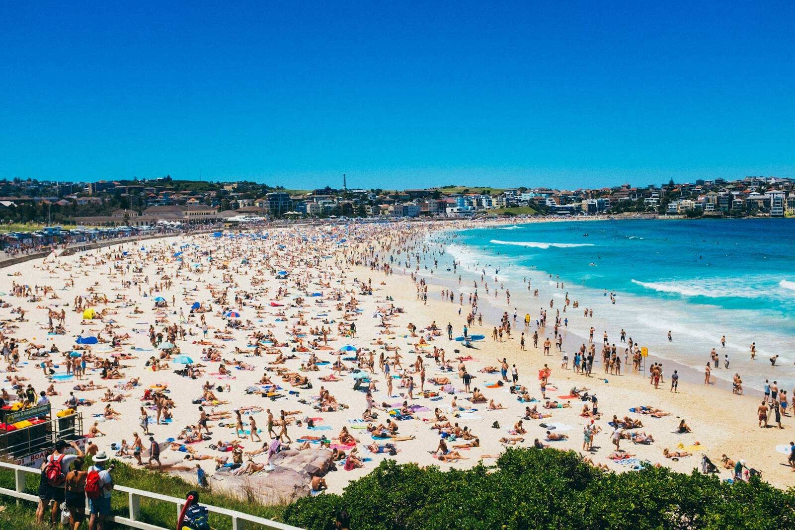 Bondi Beach packed with summer swimmers and sunbathers, seen from the southern headland