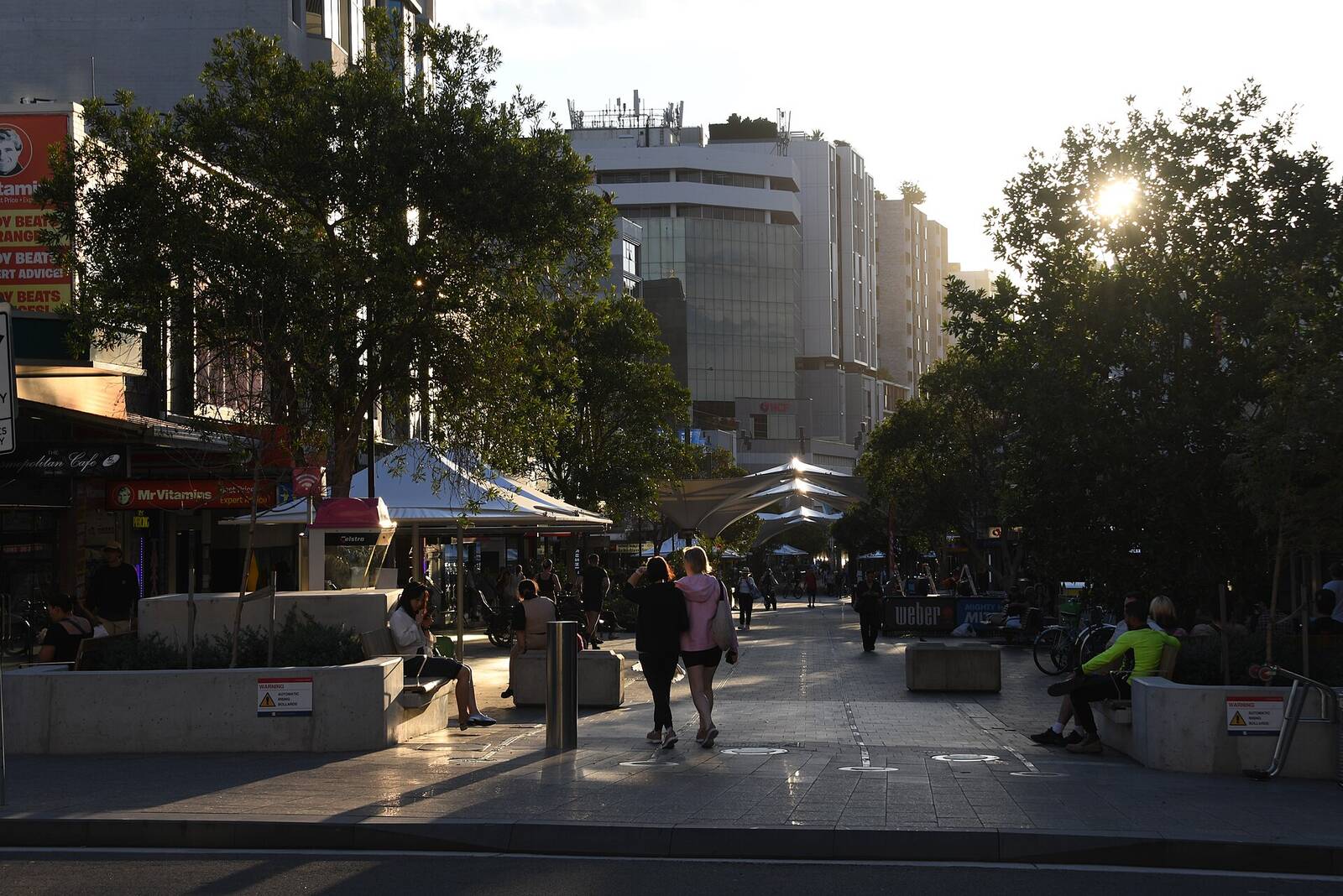 Trees, planters and benches along Oxford Street Mall in Bondi Junction in late afternoon sun