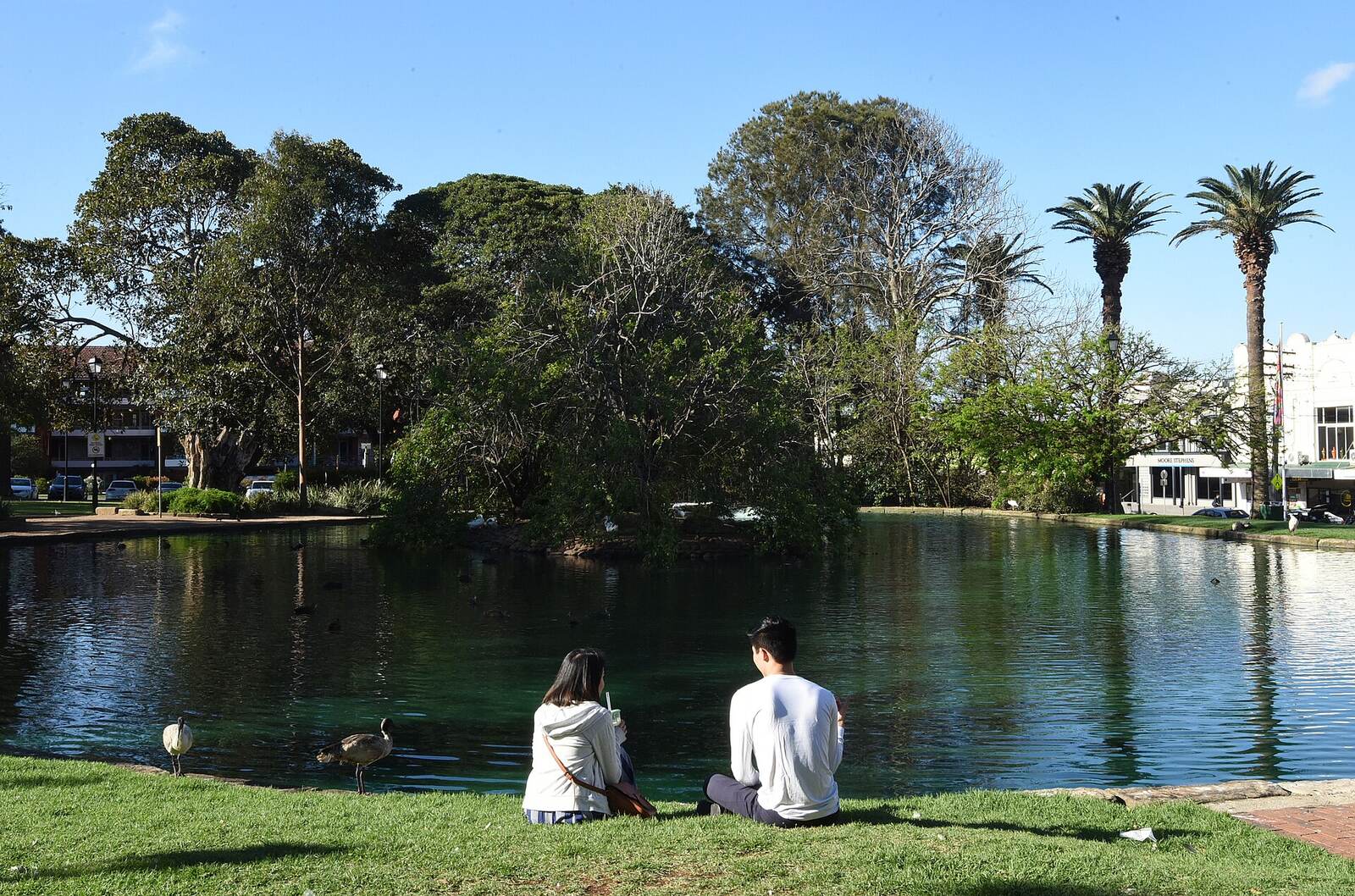 Two people sitting on the grass beside the pond in Burwood Park, with palms and fig trees behind