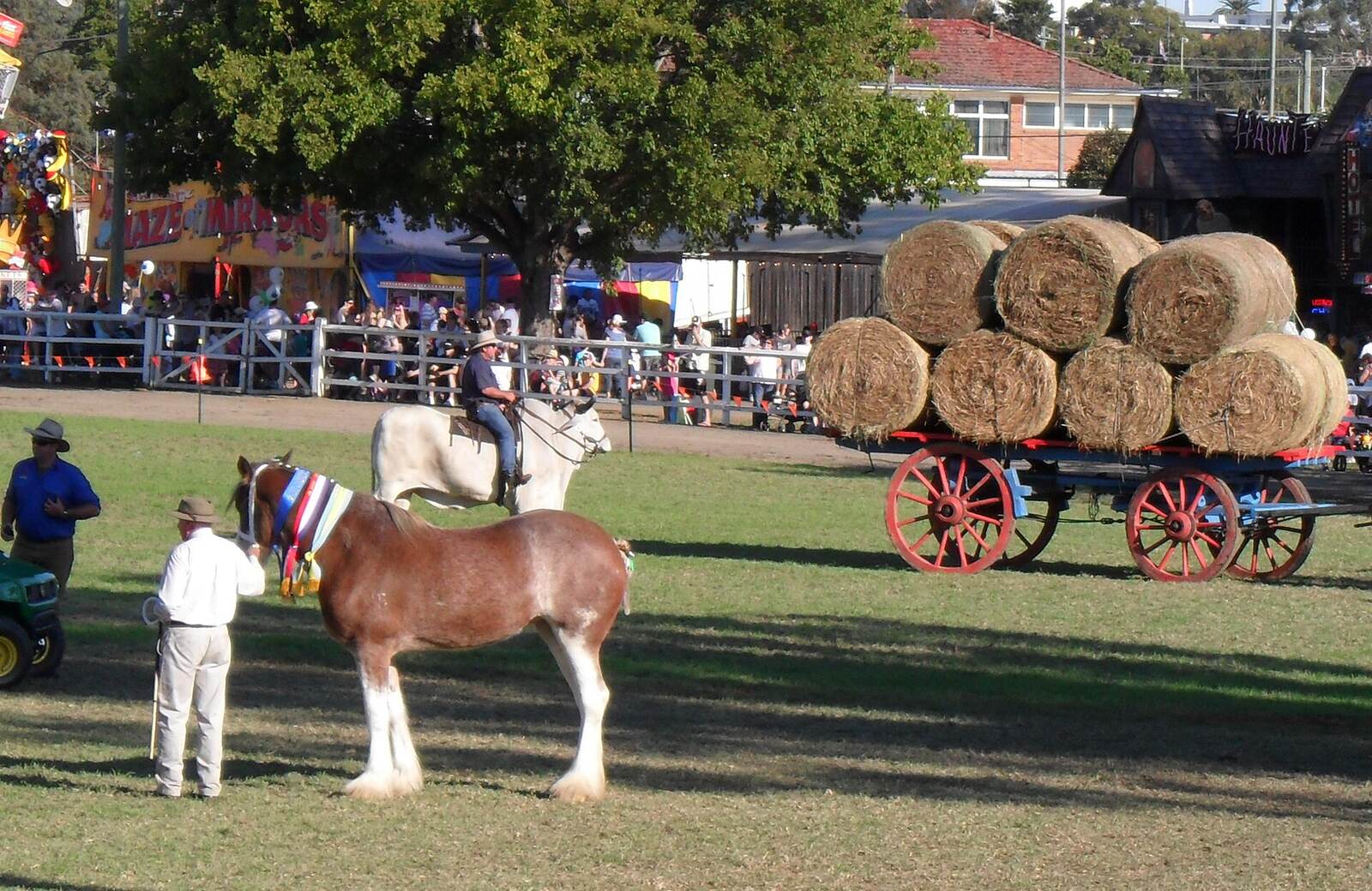 Clydesdale horse, hay cart and crowds in the main arena at the Camden Show