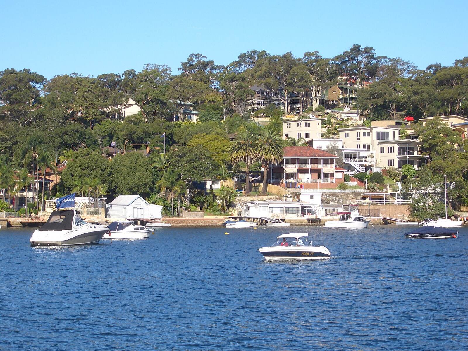 Boats moored off waterfront homes and boatsheds on the Caringbah side of Yowie Bay