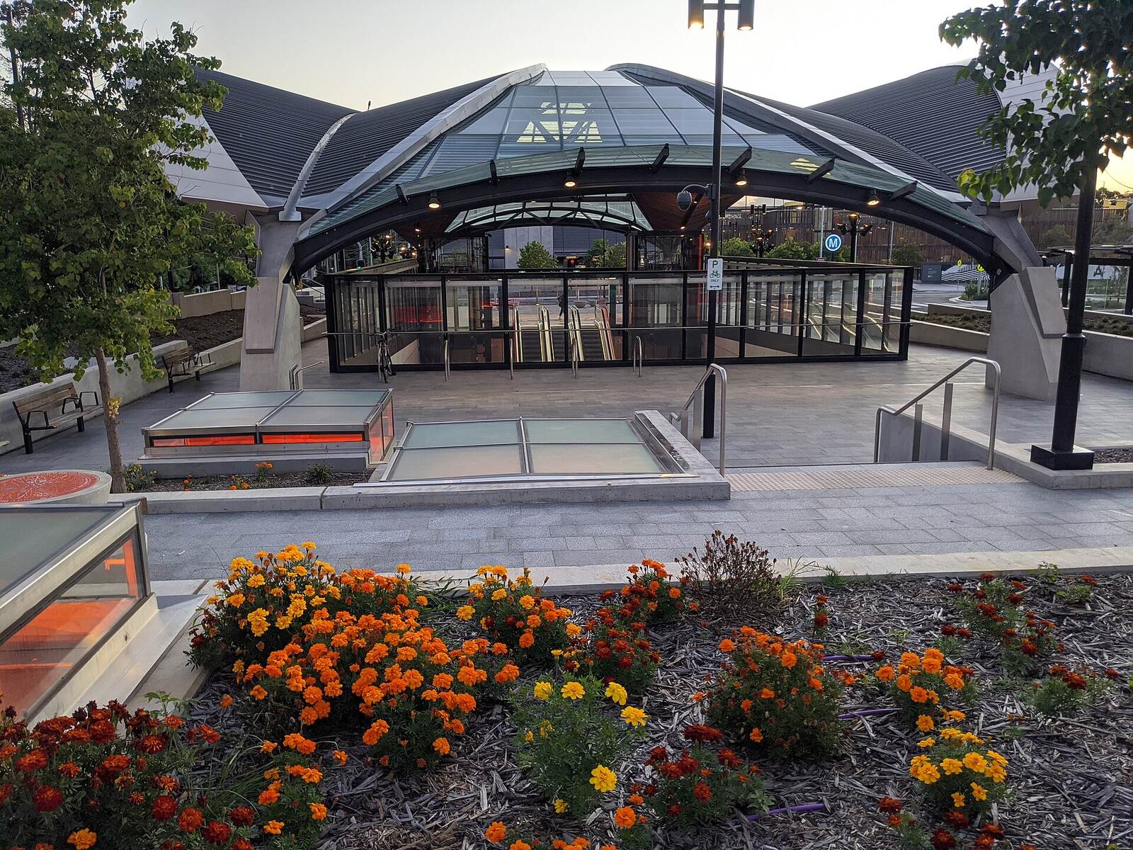 Glass dome entrance of Hills Showground Metro station behind a bed of orange marigolds