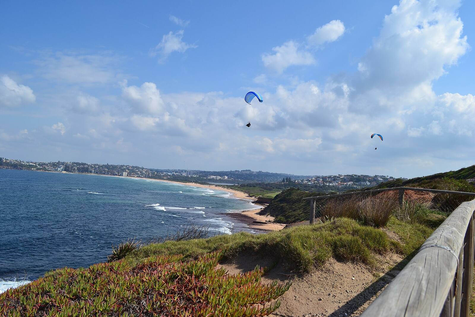 View south from the Long Reef headland over Dee Why Beach, with paragliders above the grassy cliffs