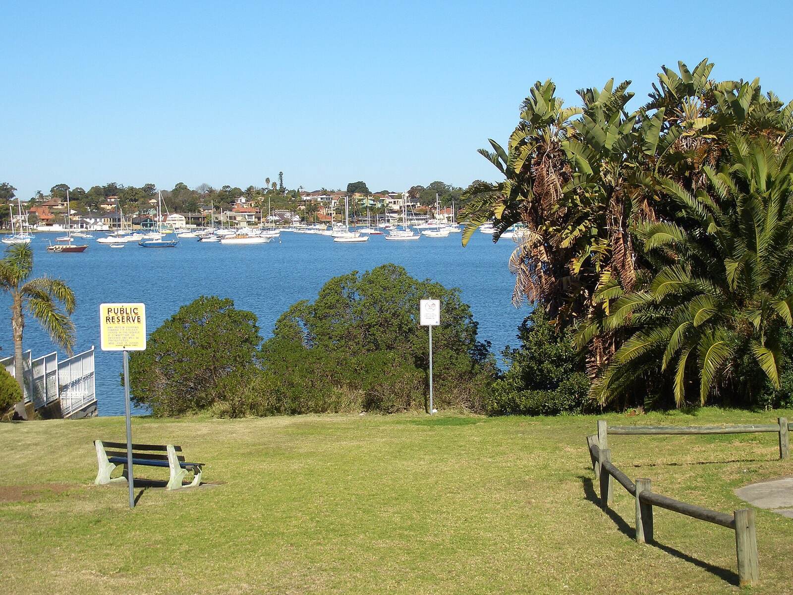 Yachts moored on Kogarah Bay, seen from a grassy public reserve framed by palms