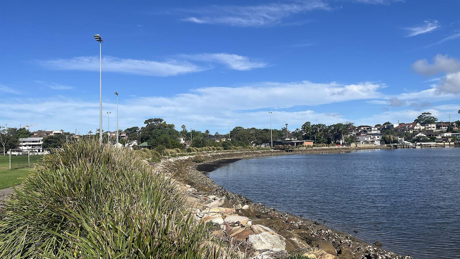 Rock-edged shoreline and grassy foreshore on Kogarah Bay under a blue sky