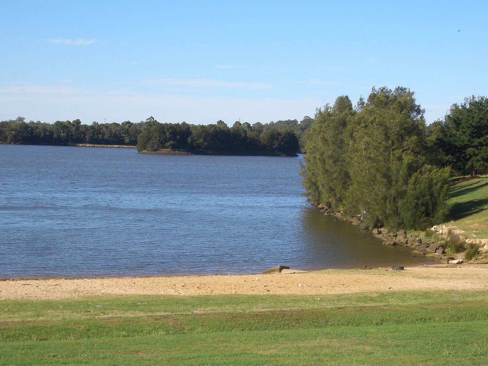 Calm water and a sandy bank at Chipping Norton Lake, with casuarina trees on the shore