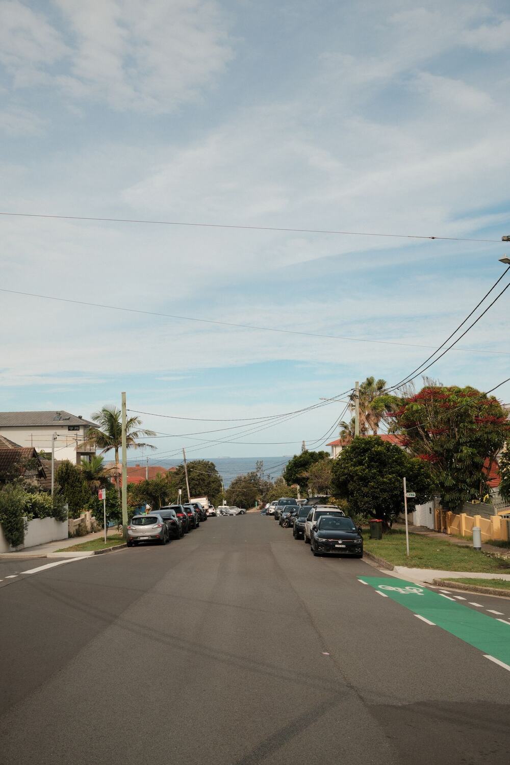 Quiet suburban Sydney street lined with parked cars and palm trees under a blue sky