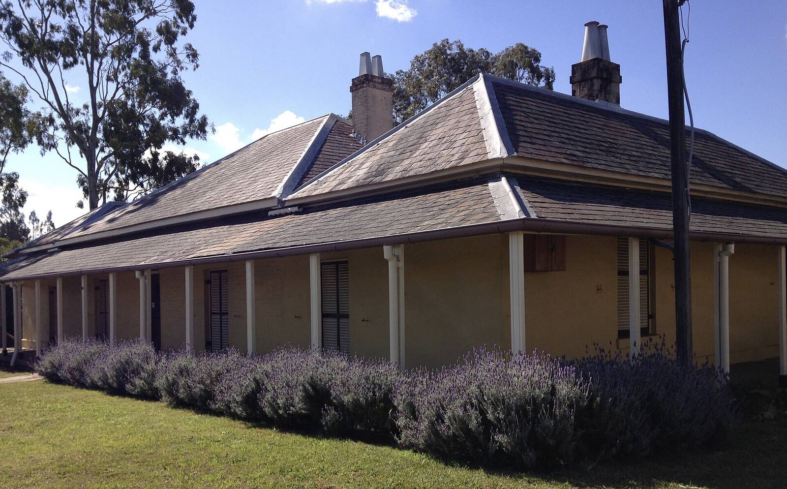 Addington House, a long sandstock cottage with a hipped roof and lavender along its verandah, on Victoria Road in Ryde