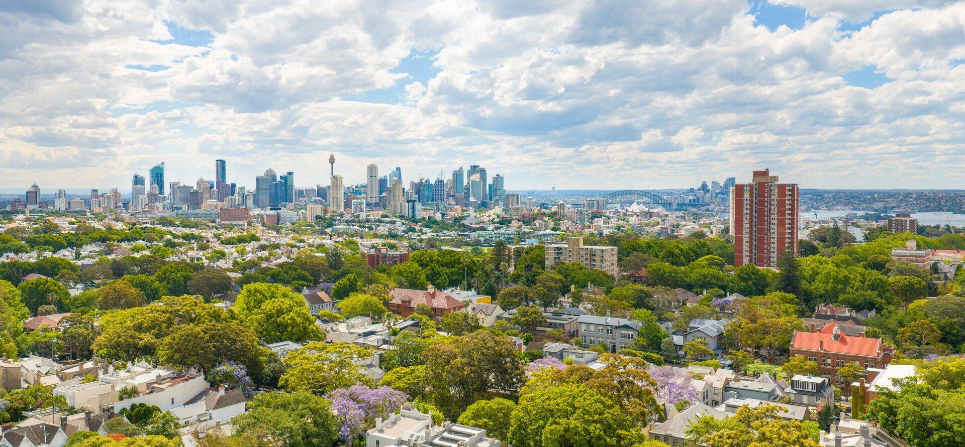 Sydney city skyline seen across leafy suburbs and jacaranda trees
