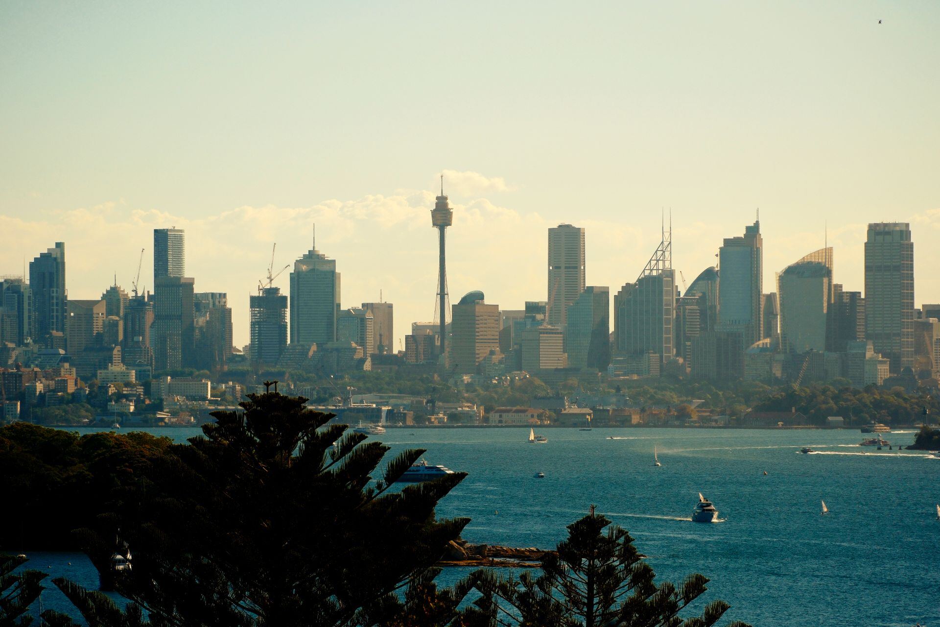 Sydney city skyline and Sydney Tower seen across the harbour from Watsons Bay